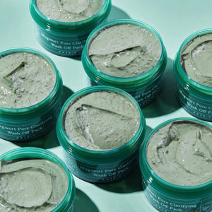 Mugwort Pore Clarifying Wash Off Pack WanderShop