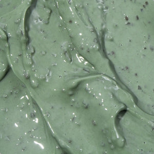 Mugwort Pore Clarifying Wash Off Pack WanderShop