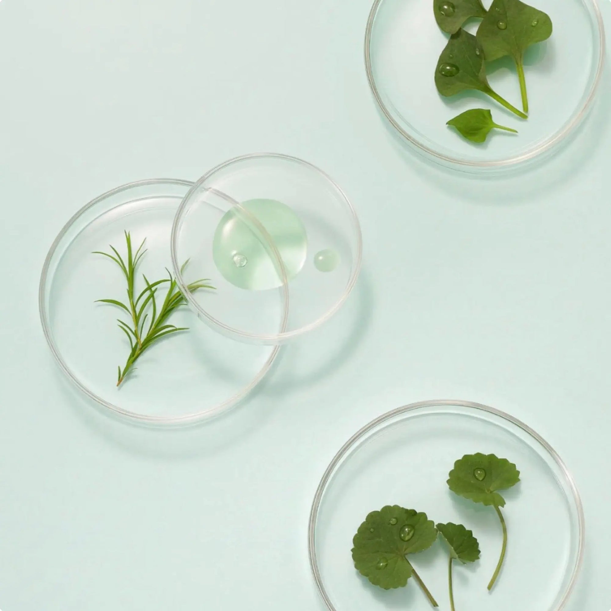 Skin&Lab - Tricicabarrier Relief Cream 50mL Skin&Lab